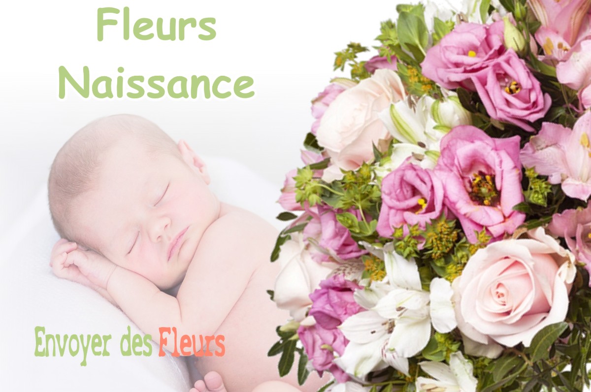 lIVRAISON FLEURS NAISSANCE à MARNANS